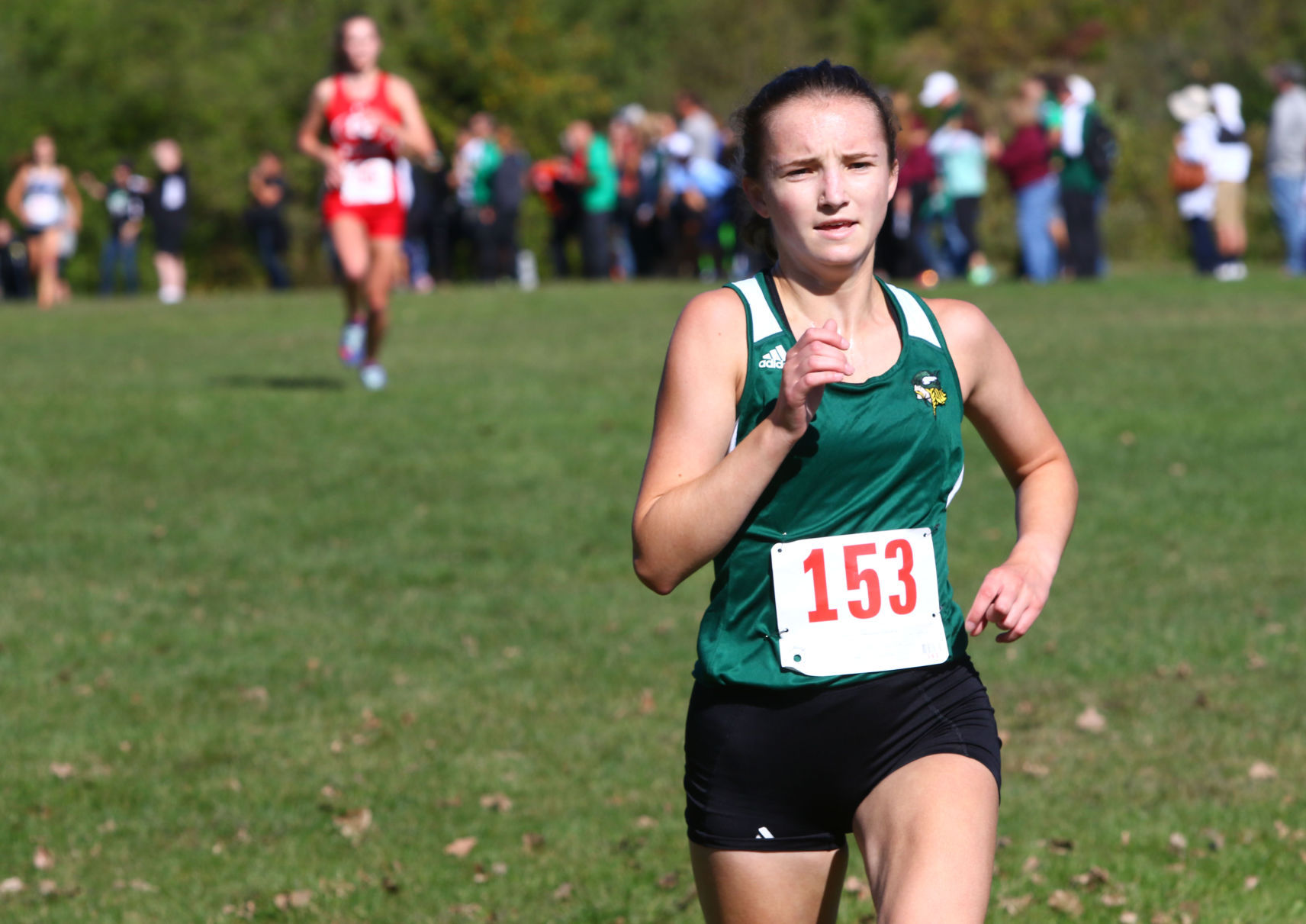 Gallery: Duneland Athletic Conference cross country meet